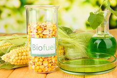 Dudsbury biofuel availability